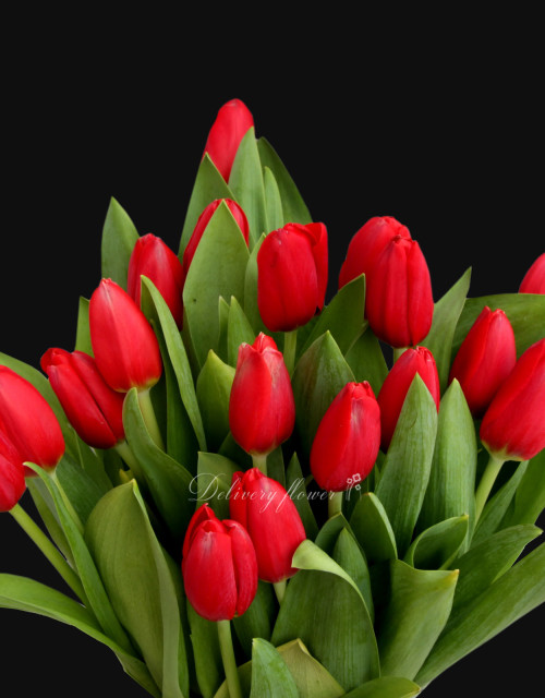 %d1%87%d0%b5%d1%80%d0%b2%d0%be%d0%bd%d0%b8%d0%b9-%d1%82%d1%8e%d0%bb%d1%8c%d0%bf%d0%b0%d0%bd