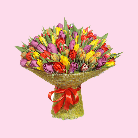 Tulip mix Tulip mix